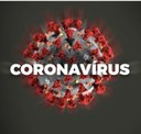 A Pandemia Coronavírus