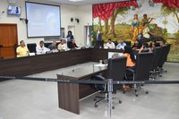 Câmara de Ubá aprova cinco projetos em reunião ordinária do dia 13 de abril