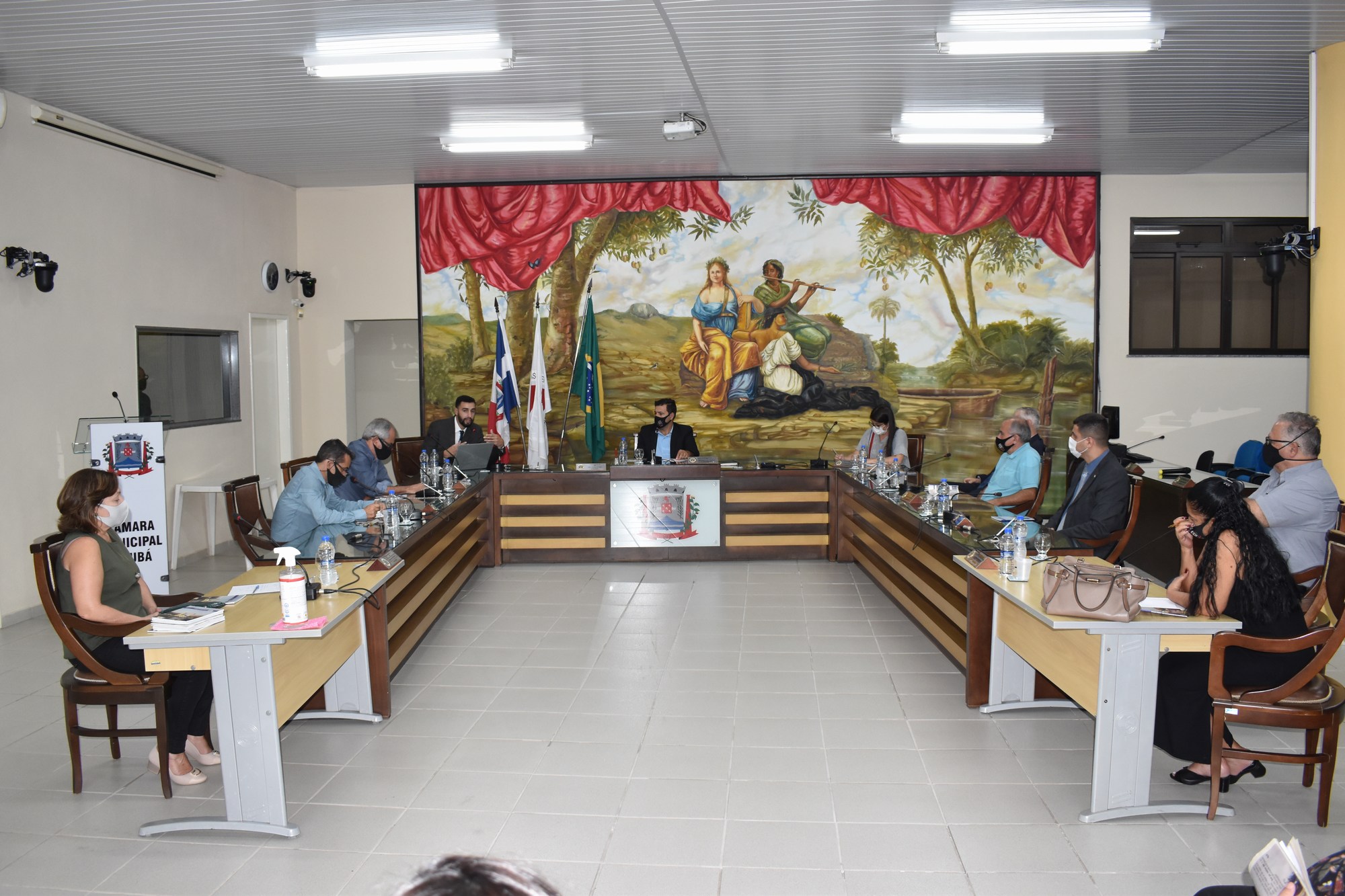 Câmara discute Modernização da Lei Orgânica em Audiência Pública