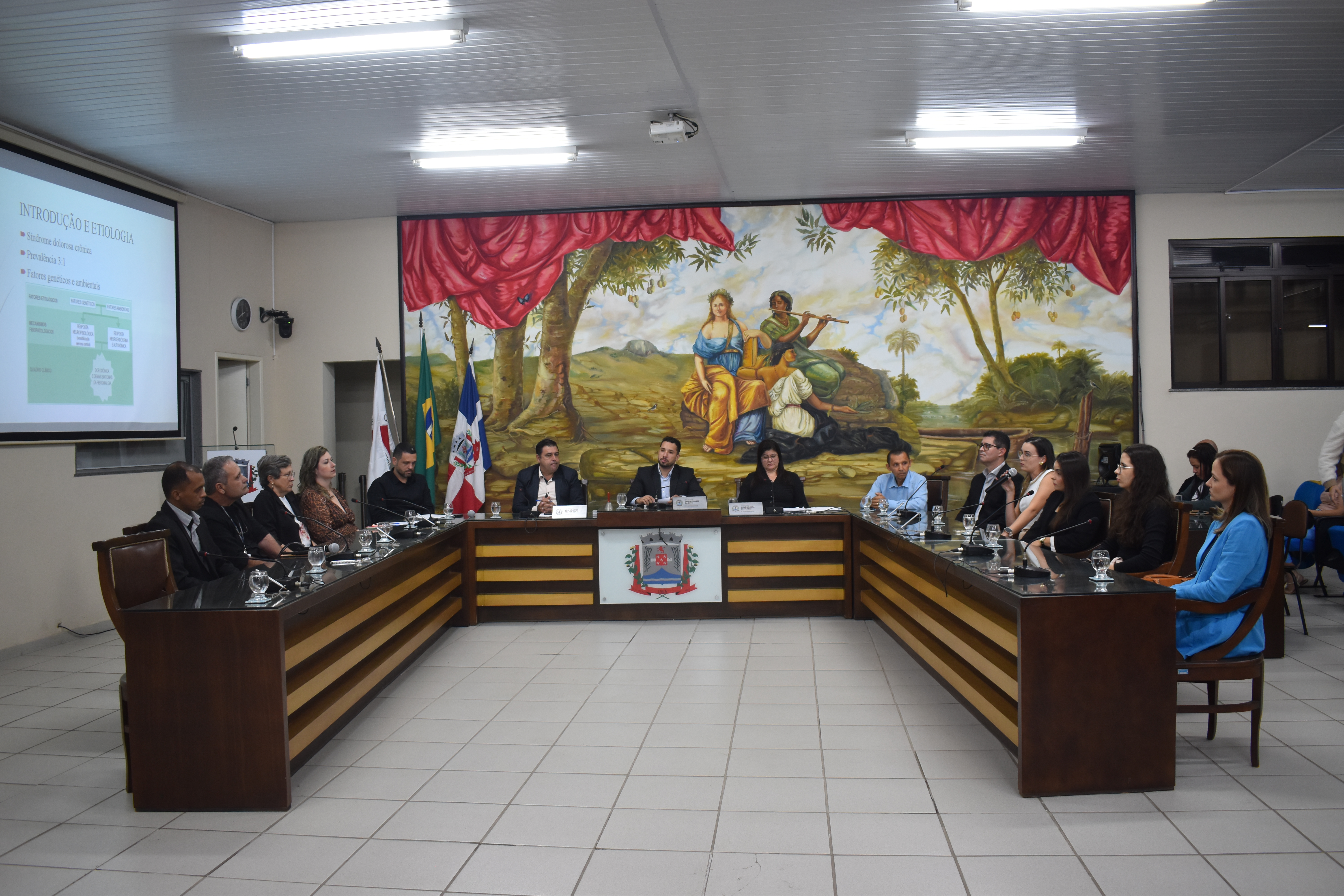 Comissão de Defesa dos Direitos da Pessoa com Deficiência realiza Audiência Pública sobre Fibromialgia