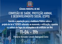 CSPD promove audiência pública sobre fogos de estampidos e de artificio em Ubá