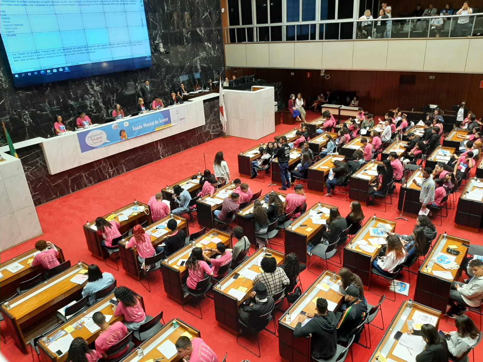 Estudantes de Ubá participam de etapa final do Parlamento Jovem na ALMG