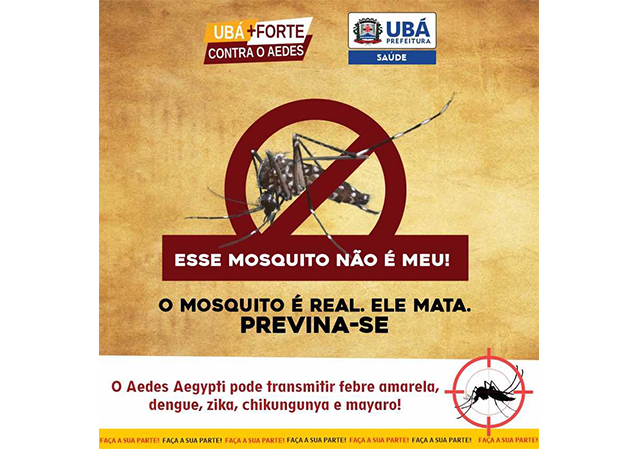 Ubá tem quase 400 casos confirmados de Dengue em 2020