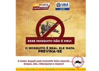 Ubá tem quase 400 casos confirmados de Dengue em 2020