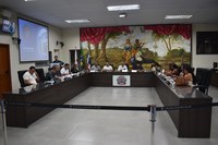 Vereadores aprovam projetos e homenagens durante reunião ordinária